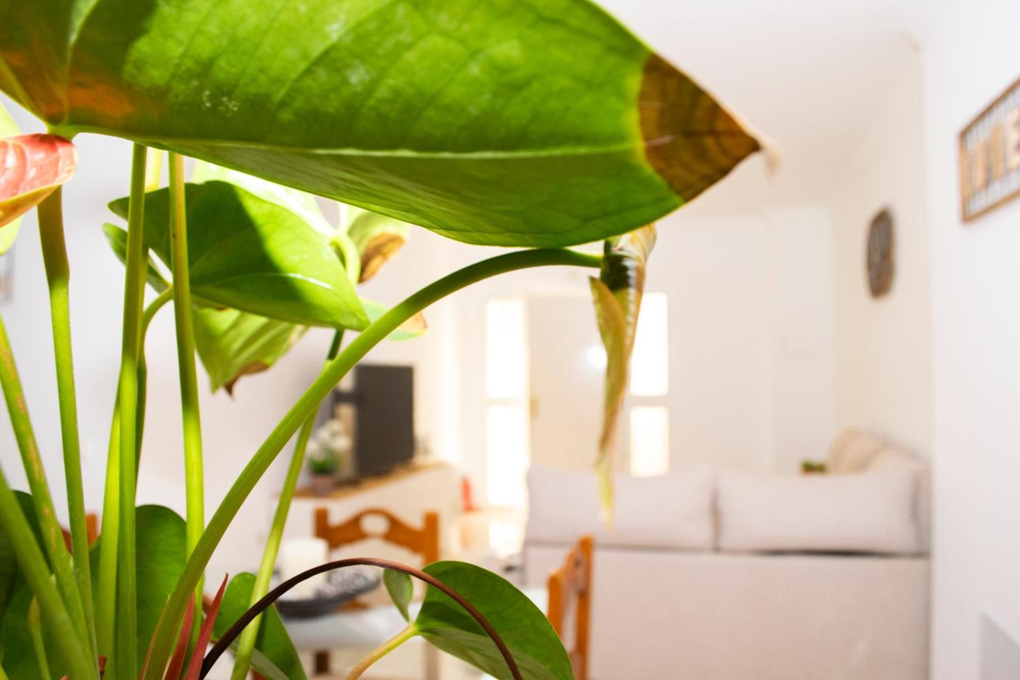 A&C Casa Playa Melosas- Torre Del Mar - Malaga Ngoại thất bức ảnh